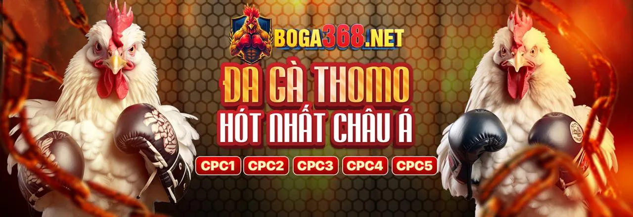 Hình ảnh banner Điều khoản và Điều kiện Khuyến mãi Betvisa88